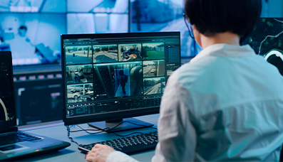 Indoor/Outdoor Cameras